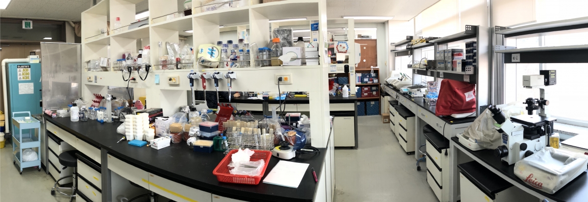 Plant Systems Genetics Lab