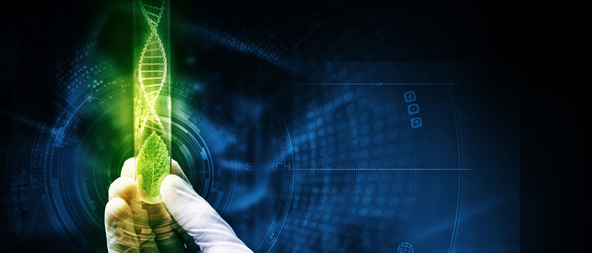 Laboratory of Molecular Genomics