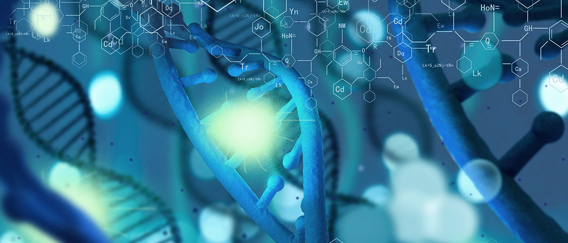 Laboratory of Evolutionary Bioinformatics
