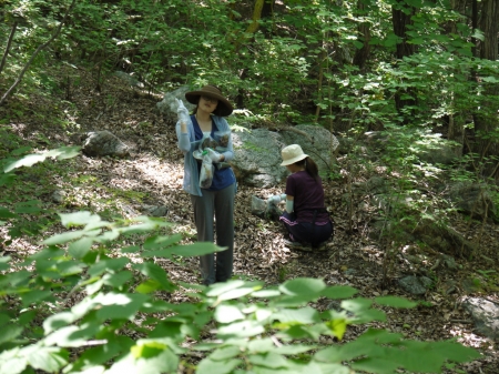 field work in LTER sites in Korea, summer 2011