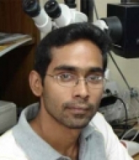 Anindya Ganguly