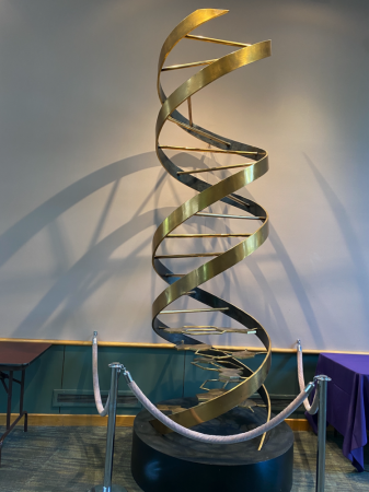 "Cold Spring Harbor Laboratory Meeting : Telomeres &Telomerase 2025" and "SNU-CU symposium"