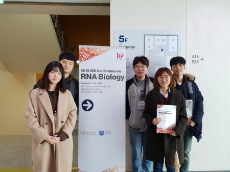 2018 IBS Conference on RNA Biology