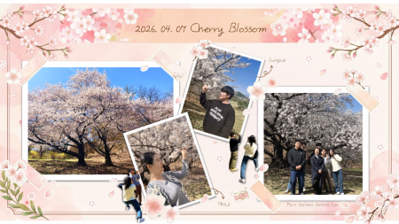 2026.04.07 Cherry Blossom