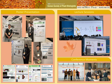 2025.10.29-31 2025KSPB