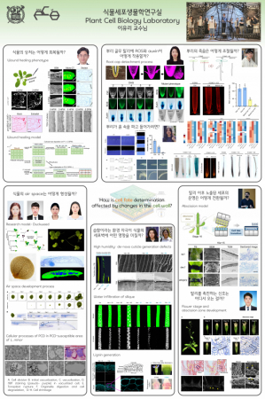 2025 Open lab
